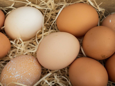 Вот в чем отличие коричневых и белых яиц