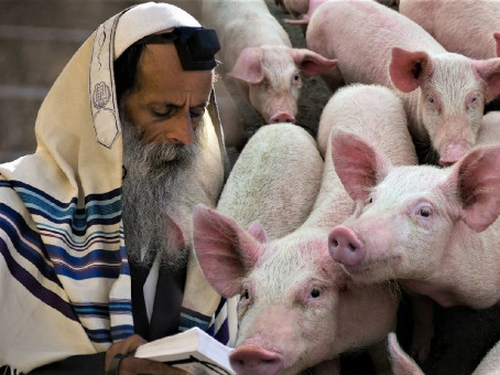 Разумные причины, почему мусульмане не едят свинину