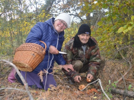 За какой гриб теперь огромный штраф? В РФ изменили наказание