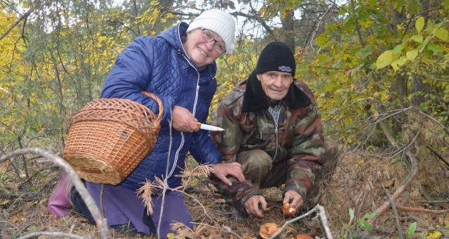 За какой гриб теперь огромный штраф? В РФ изменили наказание